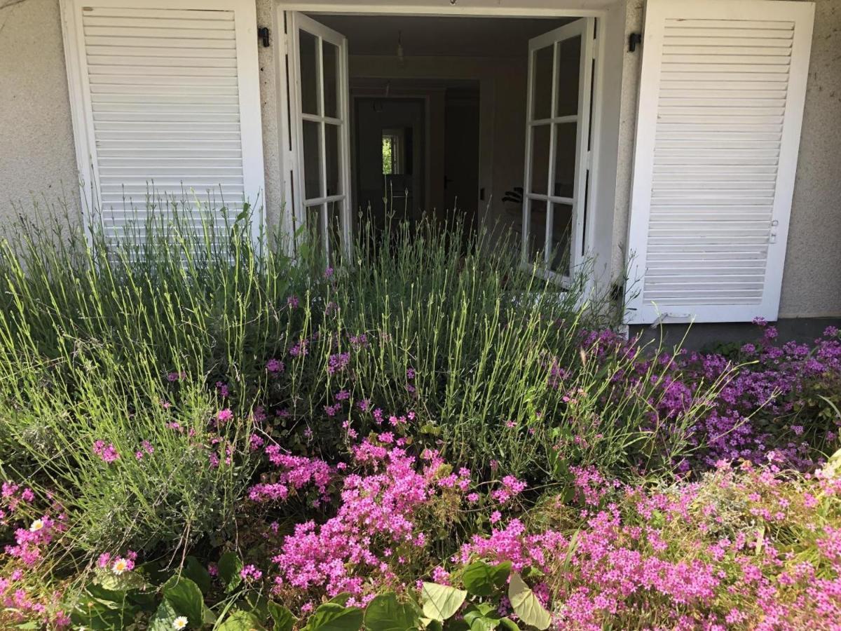 Bed and Breakfast Les Vieux Fourneaux Nantiat Esterno foto
